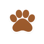 381b5c41 3f05 4882 9b56 ae727feb72e6